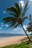 Anini Beach