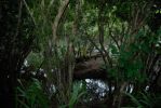 Wailua Falls