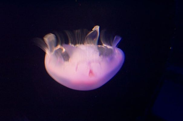 DCP_3846.JPG