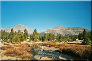 Yosemite NP
