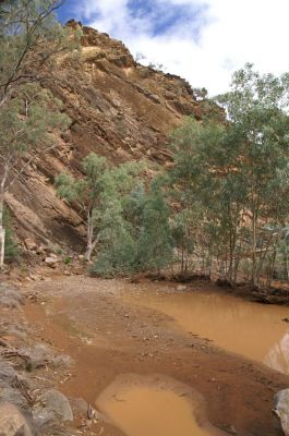 Bunyaroo Gorge AUS 2010
