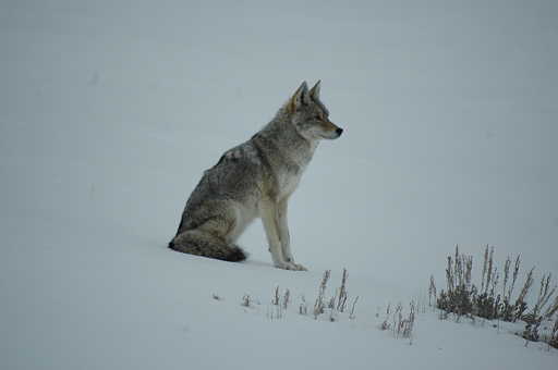 DSC_0179.jpg