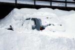 DSC_0474.jpg