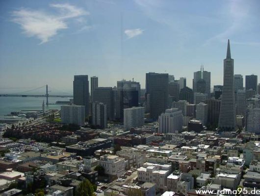 Skyline von San Francisco
Die Skyline mit der Bay Bridge vom Coit Tower aus fotografiert.
Schlüsselwörter: San Francisco, Skyline, Bay Bridge, Bridge, Coit Tower