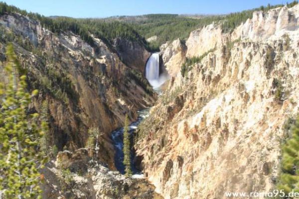 Die Lower Falls im Grand Canyon of the Yellowstone
Schlüsselwörter: Lower Falls, Falls, Grand Canyon of the Yellowstone, Yellowstone N.P.
