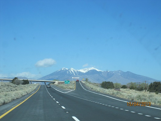 IMG_0482.jpg
