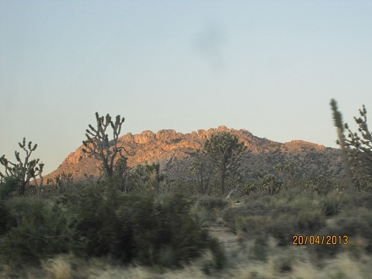 IMG_0733.jpg