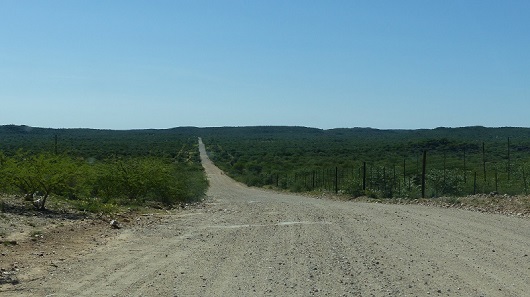 h1470319.jpg