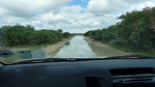 h2109781.jpg