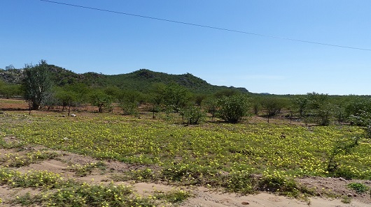 h2304293.jpg