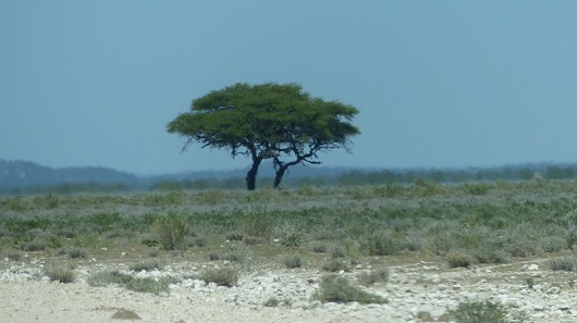 h34769c3.jpg