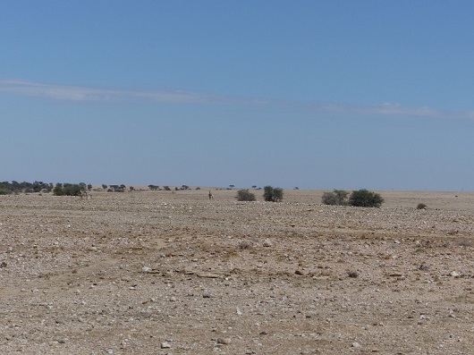 h356d69c.jpg