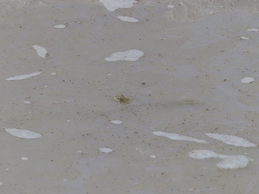 h3633557.jpg