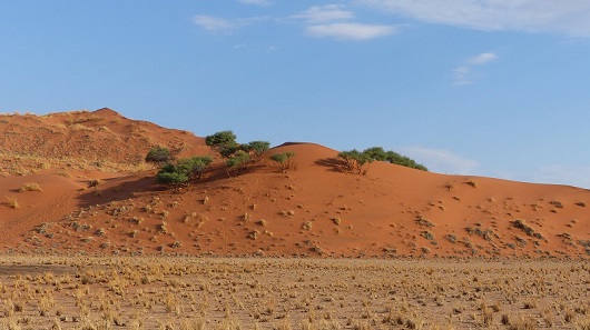 h3741505.jpg