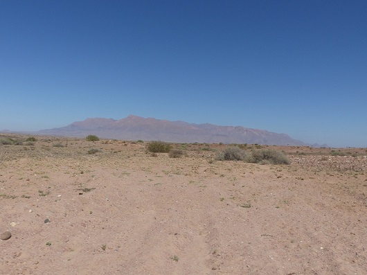 h3838e19.jpg