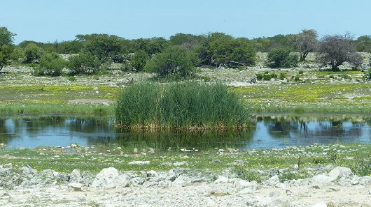 h4f066db.jpg