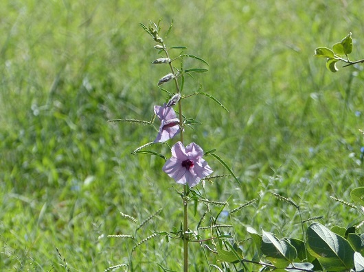 h5a69390.jpg