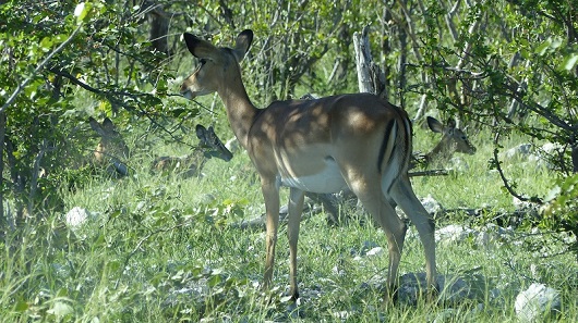 h5b010c5.jpg
