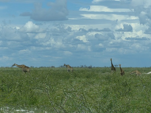 h7d85963.jpg