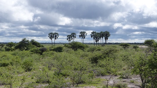 hb74513e.jpg