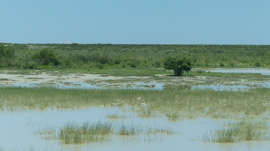 hf26e425.jpg
