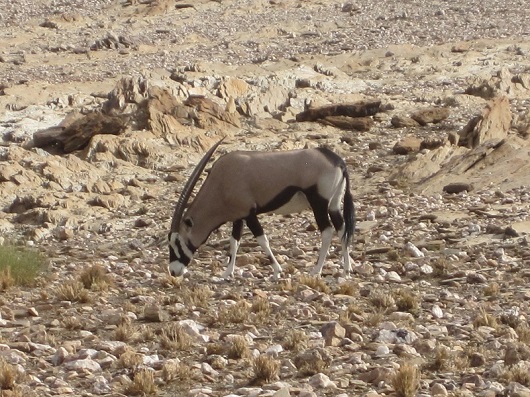 hf488418.jpg