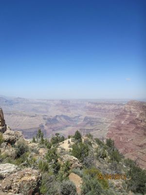 IMG_0489.jpg