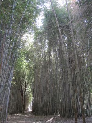 IMG_0869.jpg