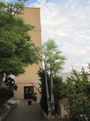 IMG_1305~0.jpg