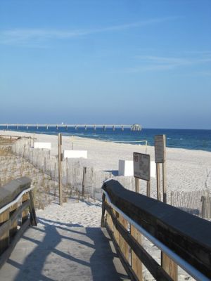 IMG_1396.jpg