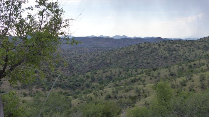 P1020184.JPG
