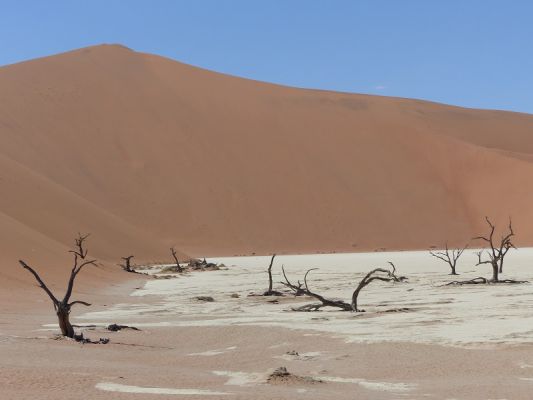 P1020426.JPG