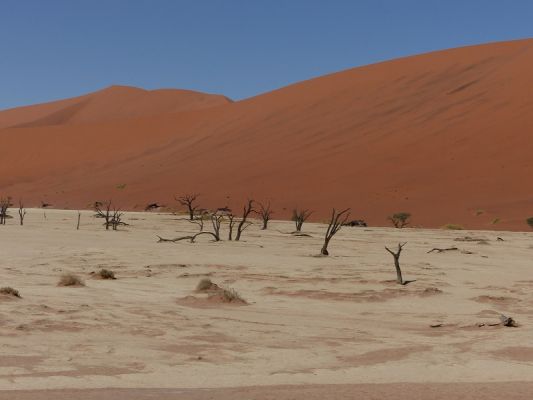 P1020428.JPG