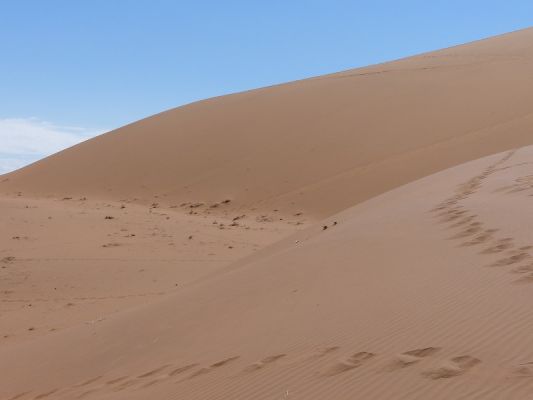 P1020447.JPG