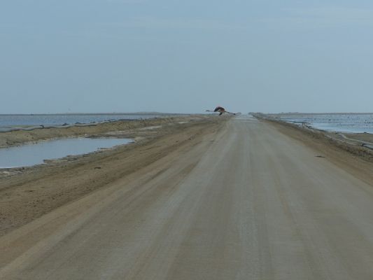 P1020641.jpg