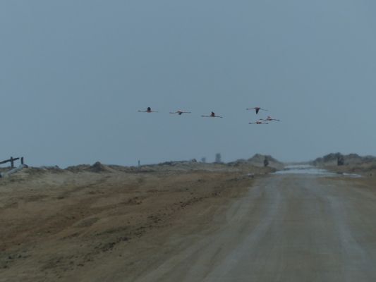 P1020642.jpg