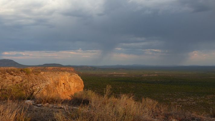 P1020729.JPG