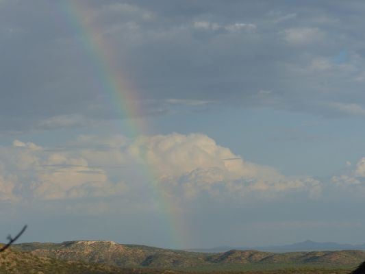 P1020829.JPG
