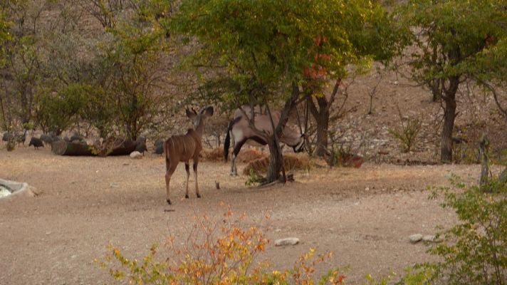 P1020836.JPG