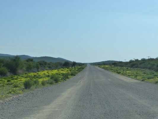 P1020875.JPG