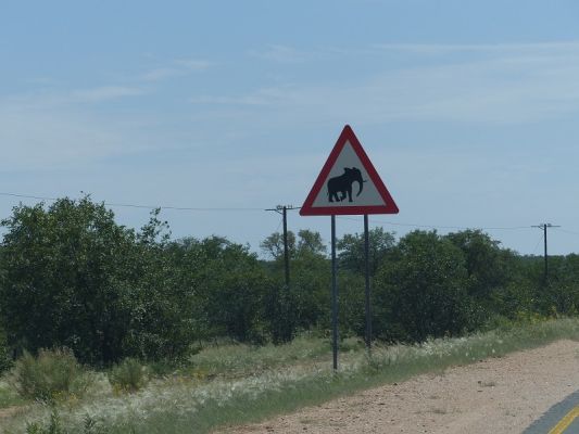 P1020882.JPG