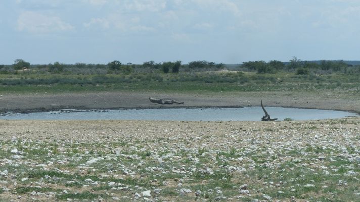 P1020914.JPG