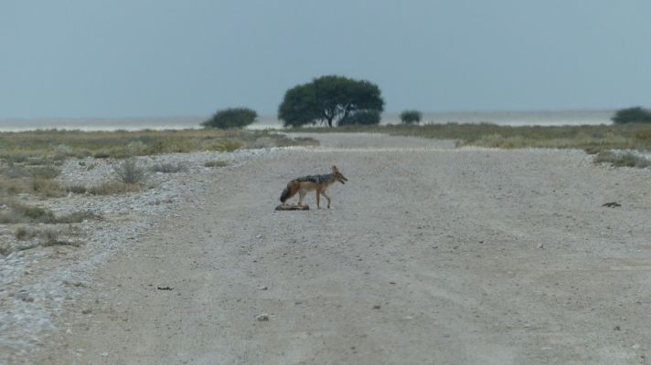 P1030033.JPG