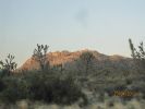 IMG_0733.jpg