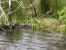 IMG_1292.jpg