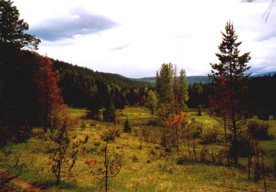 herbstliche Farben im Frühling!
Schlüsselwörter: Ray Farm, Wells Gray Provinzpark, British-Columbia, Kanada