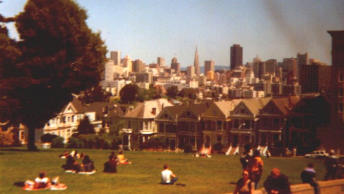Pink Ladys
Schlüsselwörter: Pink Ladys, Alamo Square, Steiner Street, San Francisco, Kalifornien, USA