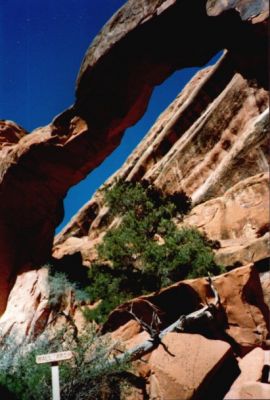 Wall Arch
Schlüsselwörter: Wall Arch, Arches, Devils Garden, Utah, USA