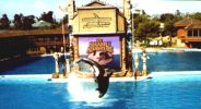 Sea World San Diego