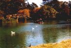 Stow Lake im Golden Gate Park